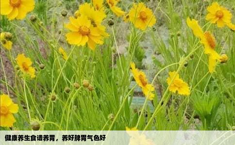 健康养生食谱养胃，养好脾胃气色好