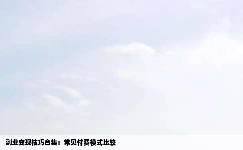 副业变现技巧合集：常见付费模式比较