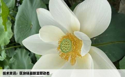 技术资讯：区块链最新监管动态