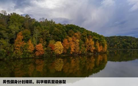 男性健身计划增肌，科学增肌塑造体型