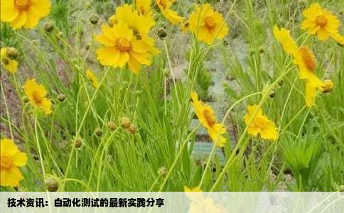 技术资讯：自动化测试的最新实践分享