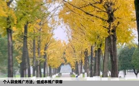 个人副业推广方法，低成本推广获客