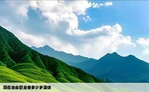 现在自由职业者多少岁退休