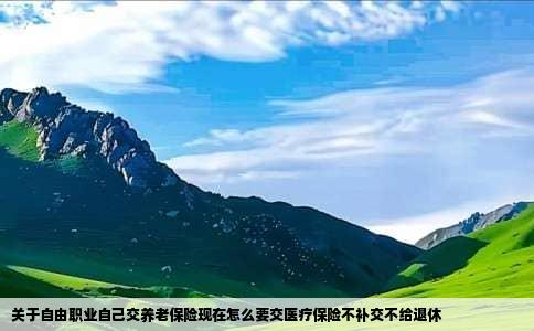 关于自由职业自己交养老保险现在怎么要交医疗保险不补交不给退休