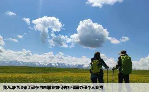 我从单位出来了现在自由职业如何去社保局办理个人交费