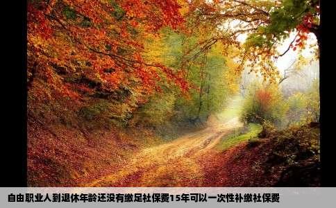 自由职业人到退休年龄还没有缴足社保费15年可以一次性补缴社保费