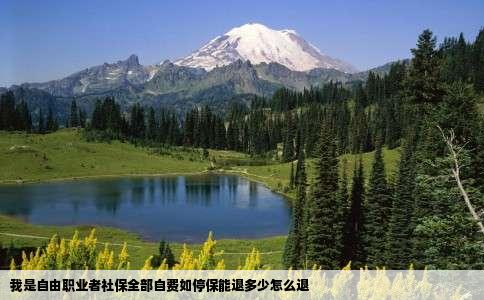 我是自由职业者社保全部自费如停保能退多少怎么退
