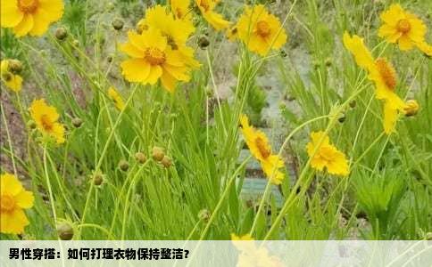男性穿搭：如何打理衣物保持整洁？