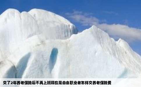 交了2年养老保险后不再上班现在是自由职业者怎样交养老保险费