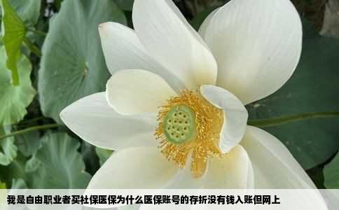 我是自由职业者买社保医保为什么医保账号的存折没有钱入账但网上
