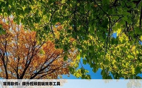 常用软件：提升视频剪辑效率工具