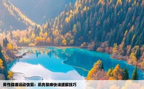 男性健康运动恢复：肌肉酸痛快速缓解技巧