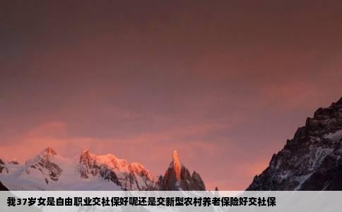 我37岁女是自由职业交社保好呢还是交新型农村养老保险好交社保