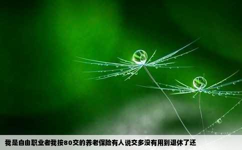 我是自由职业者我按80交的养老保险有人说交多没有用到退休了还