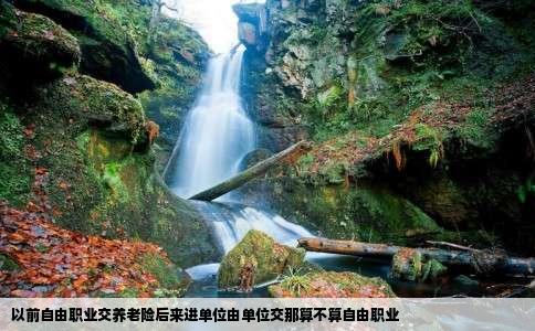 以前自由职业交养老险后来进单位由单位交那算不算自由职业