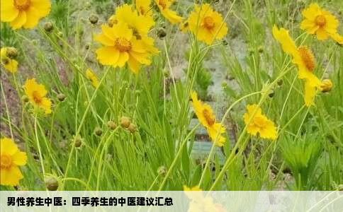 男性养生中医:四季养生的中医建议汇总