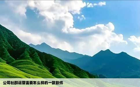 公司社群运营需要怎么样的一款软件