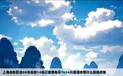 上海自由职业08年起按14自己缴费每月7634元医保享受什么报销政策