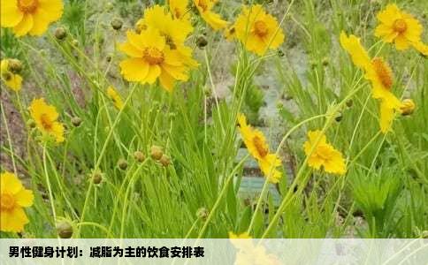 男性健身计划：减脂为主的饮食安排表