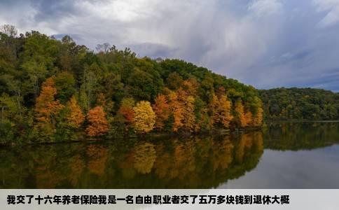 我交了十六年养老保险我是一名自由职业者交了五万多块钱到退休大概