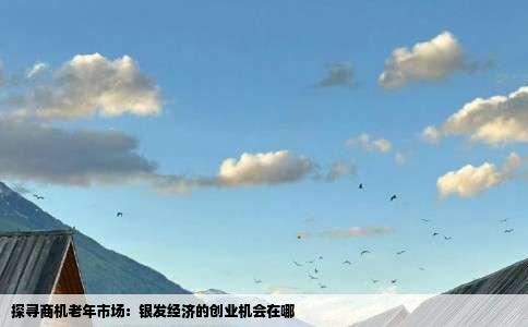 探寻商机老年市场：银发经济的创业机会在哪
