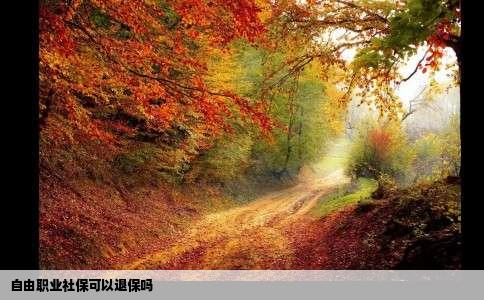 自由职业社保可以退保吗
