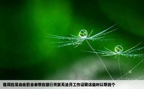 我现在是自由职业者想在银行贷款无法开工作证明这些所以想找个