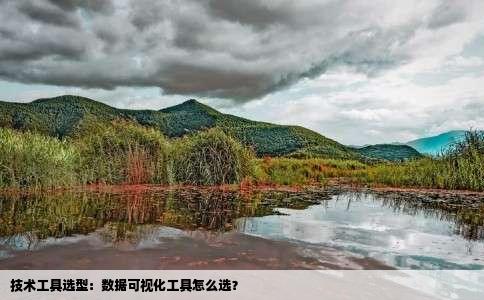 技术工具选型：数据可视化工具怎么选？
