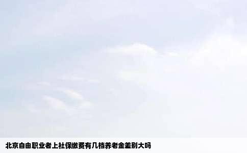 北京自由职业者上社保缴费有几档养老金差别大吗
