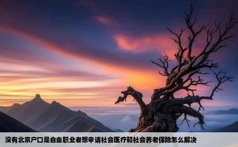 没有北京户口是自由职业者想申请社会医疗和社会养老保险怎么解决