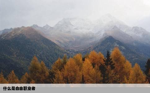 什么是自由职业者