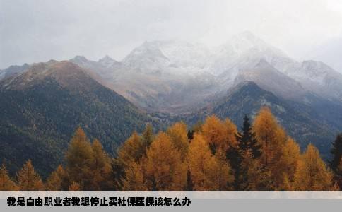 我是自由职业者我想停止买社保医保该怎么办