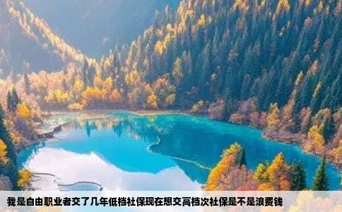 我是自由职业者交了几年低档社保现在想交高档次社保是不是浪费钱