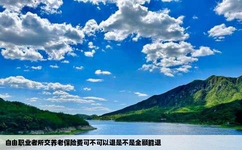 自由职业者所交养老保险费可不可以退是不是全额能退