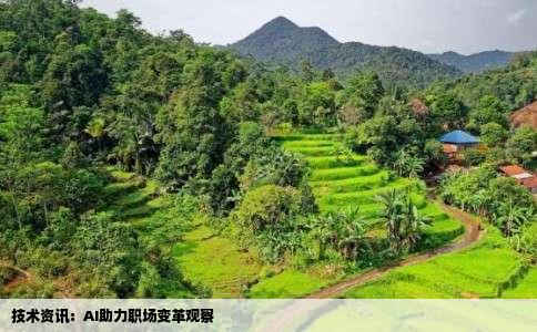 技术资讯：AI助力职场变革观察
