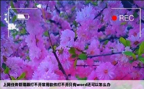 上网任务管理器打不开常用软件打不开只有word还可以怎么办