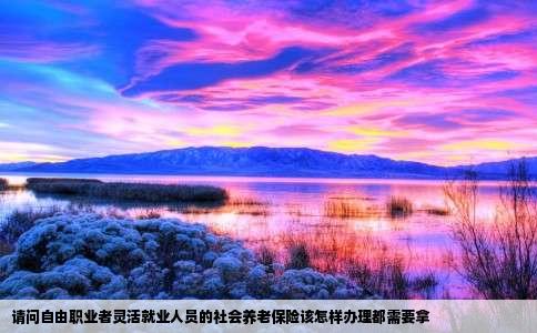 请问自由职业者灵活就业人员的社会养老保险该怎样办理都需要拿