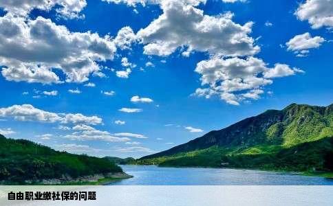 自由职业缴社保的问题