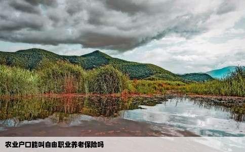 农业户口能叫自由职业养老保险吗