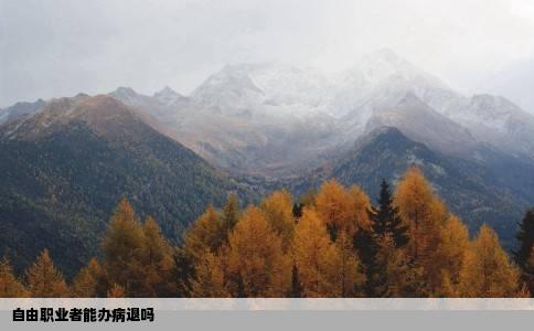 自由职业者能办病退吗