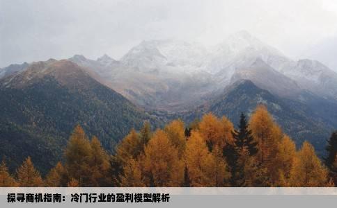 探寻商机指南：冷门行业的盈利模型解析