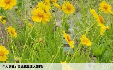 个人副业：同城跑腿收入如何？