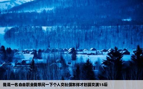 我是一名自由职业我想问一下个人交社保怎样才划算交满15后