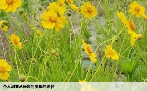 个人副业从兴趣到变现的路径