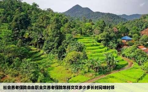 社会养老保险自由职业交养老保险怎样交交多少多长时间啥时领