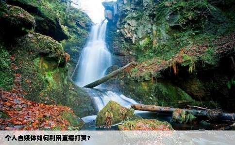 个人自媒体如何利用直播打赏？