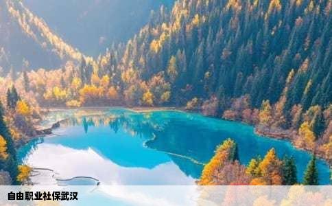 自由职业社保武汉