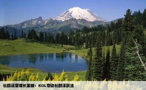 社群运营增长策略：KOL带动社群活跃法