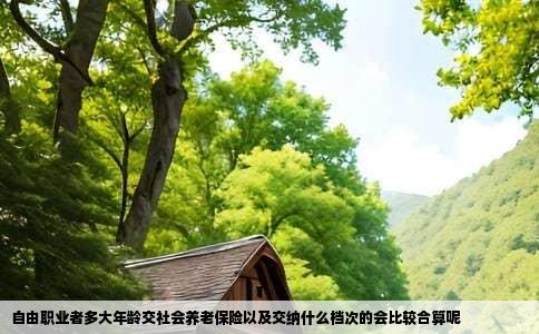 自由职业者多大年龄交社会养老保险以及交纳什么档次的会比较合算呢