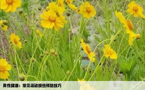 男性健康：常见运动损伤预防技巧